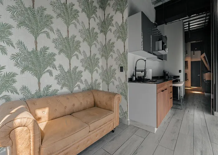 Apartment The Palm Loft-modern Comfort With/equipped Kitchen Mexico City